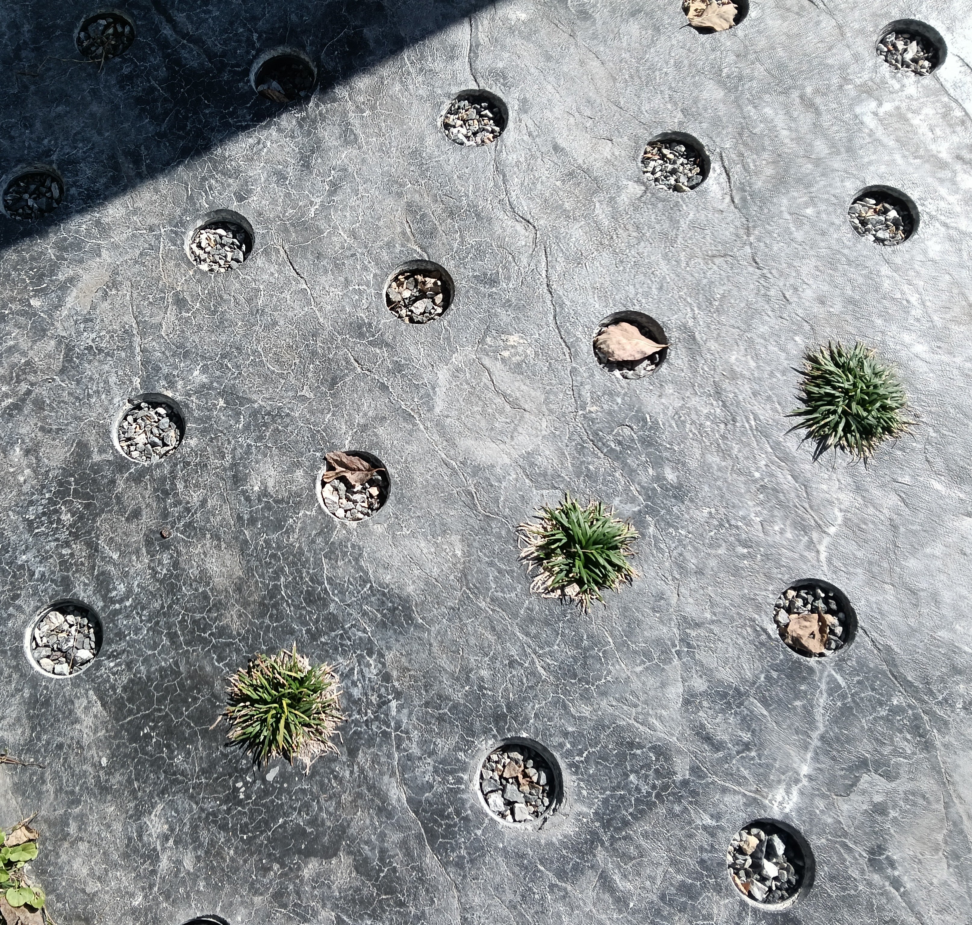 ドットコンの画像